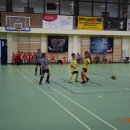 turmikol 6